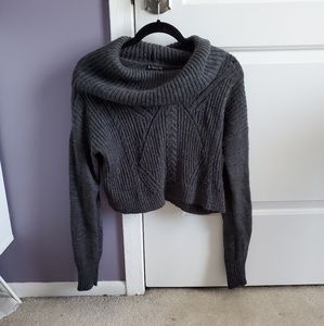 Express Cropped turtleneck sweater